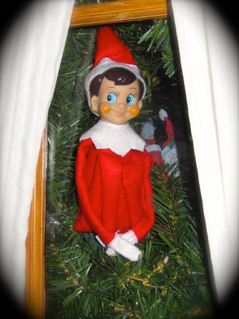 IMG_3113.jpg - "Alfie" has arrived ... We watched the Elf Story this evening and the kids chose his name.