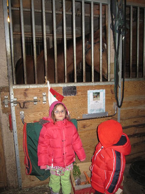 IMG_3134.jpg -                                