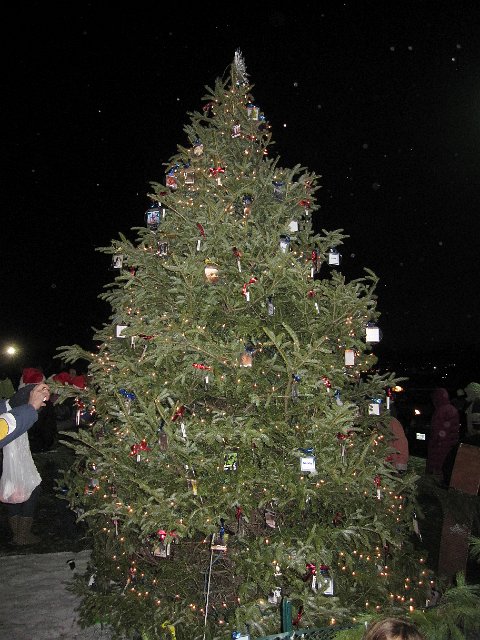 IMG_3139.jpg - There it is ... the tree is decorated with photo personalized ornaments of pets and/or animals currently awaiting adoption at the center.