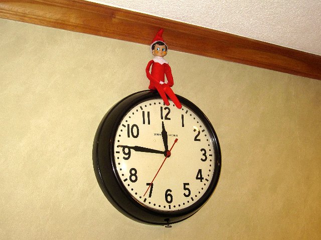 IMG_3162.jpg - One of the first things asked by the kids upon waking was "Where's Alfie?"