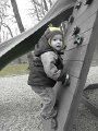 IMG_8240
