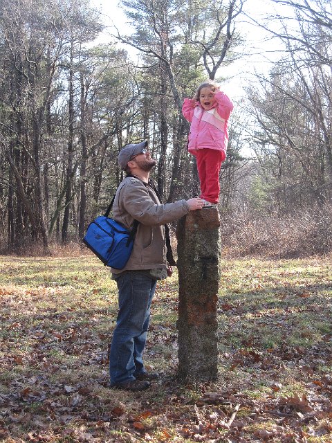 IMG_7835.jpg - Onto bigger and taller things ...