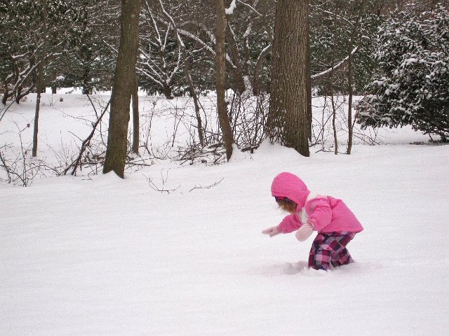 IMG_8033.jpg - Ahh, the fresh, fluffy, undisturbed snow â¦