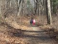 IMG_7841
