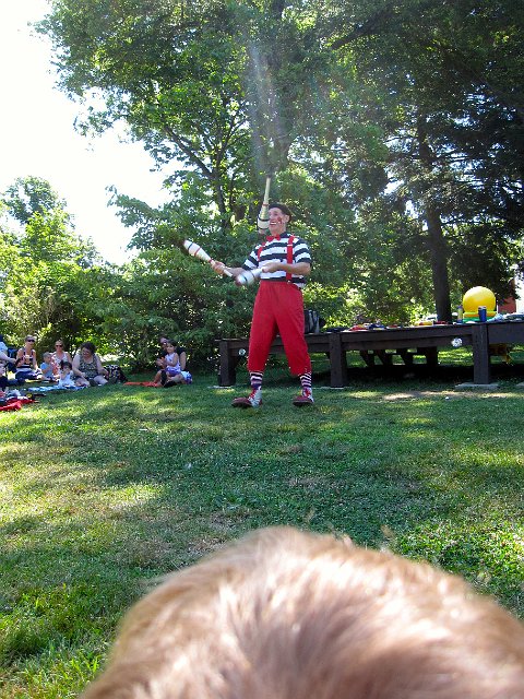 IMG_0969.jpg - Nathan and his front row seat for a performance by Benjamin the Clown at North Andover Common.