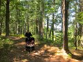 IMG_4333