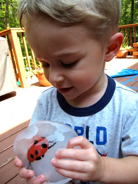 IMG_0635.jpg - "How'd my lady bug get in there?"