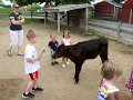 IMG_0216