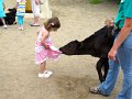 IMG_0223