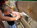 IMG_0265