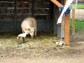IMG_0272