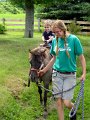 IMG_0298