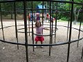 IMG_0462