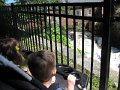IMG_0504