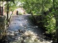 IMG_0510