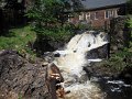 IMG_0527
