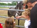 IMG_0033
