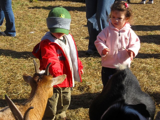 IMG_2411.jpg - The kids went to Krochmal Farm in Tewksbury for some farm fun.