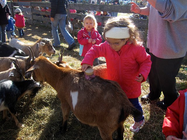 IMG_2418.jpg - The goats were in their glory with feedings and brushings by all the little kids.