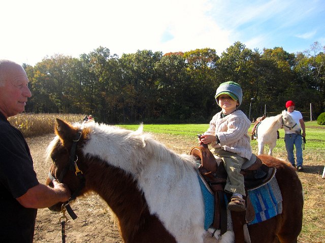 IMG_2420.jpg - We went for a hay ride and even pony rides!