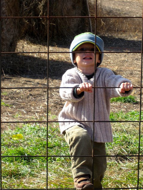 IMG_2432.jpg - This little monkey wanted to climb the fence into the llama pen.