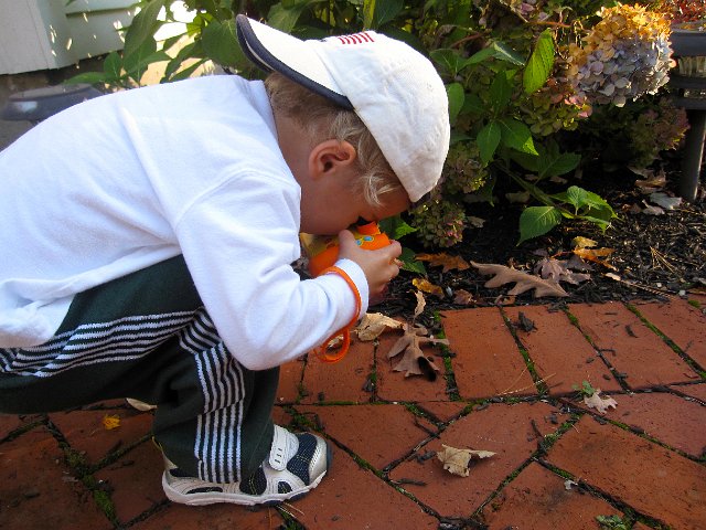 IMG_2539.jpg - Nathan's first woolly bear caterpillar sighting. He was not too impressed but loves to mimic what Mommy does.