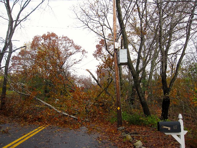 IMG_2718.jpg - This damage left us without power for about 2 days (we're so grateful for that generator we purchased/installed just a couple years ago).