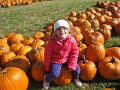 IMG_2451