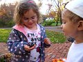 IMG_2553