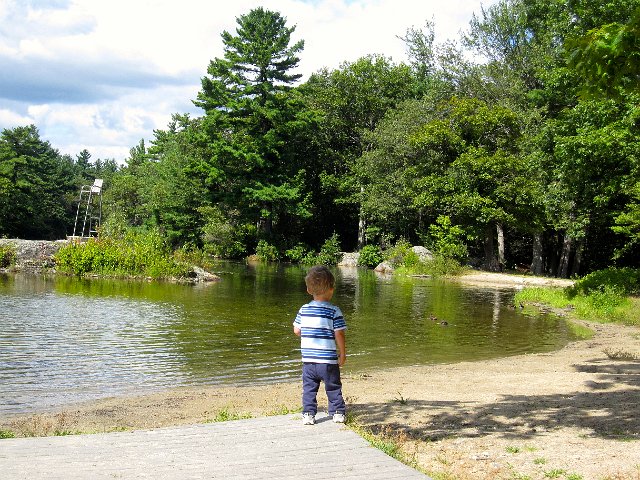 IMG_1926.jpg - "Come back duckies, come back!"