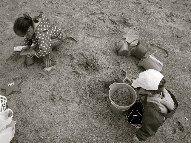 IMG_4980.jpg - It's just a huge sandbox for them!