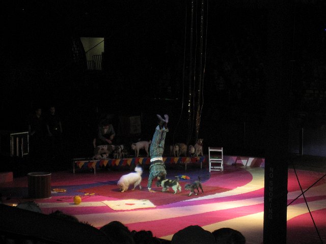 IMG_5214.jpg -                                