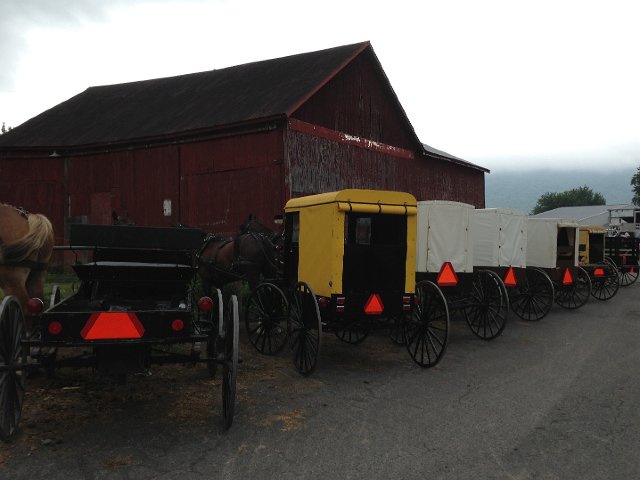 IMG_3928.jpg - We went to a market (somewhat like Green Dragon) and I spotted a few yellow buggies.  I guess they represent Amish from another area.