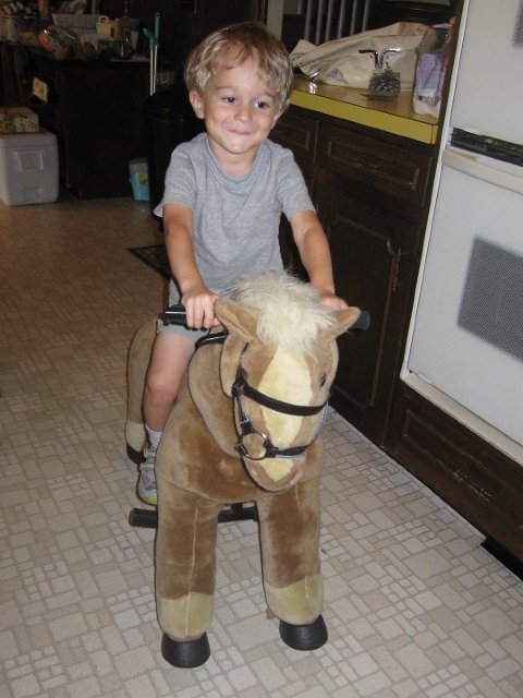 IMG_7524.jpg - He didn't want to get on a real horse, but this one was just his speed.