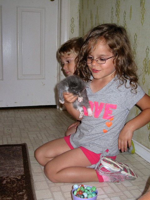 IMG_7527.jpg - They both wanted to see the new litter of kittens often throughout our visit.