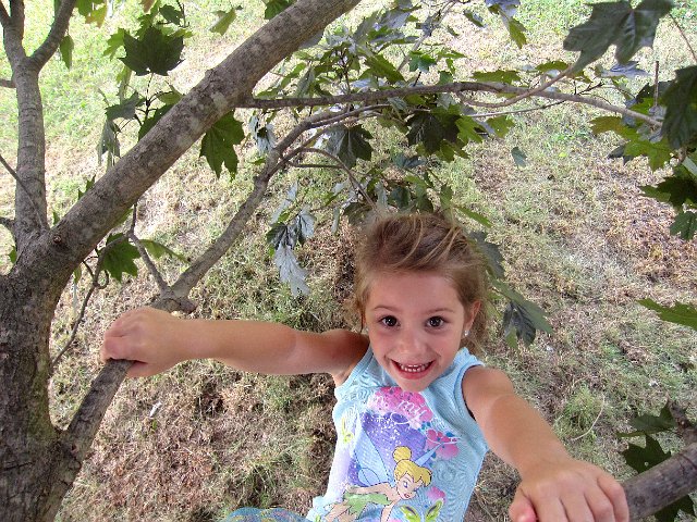 IMG_7529.jpg - Miss Kirra was comfortable in the trees too.