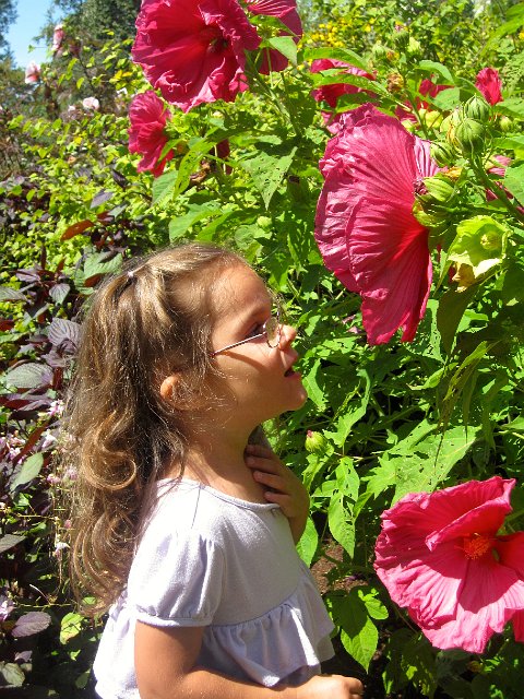 IMG_7750.jpg - We are at Tower Hill Botanic Gardens to share this wonderful place with Nathan.  (I believe we brought Catherine here when she was 2.)