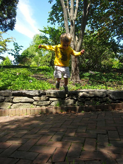 IMG_7762.jpg - ... now jumper enjoyed exploring the grounds.