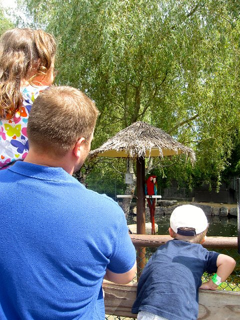 IMG_7836.jpg - Maine's Favorite Zoo and Amusement Park sounds like the perfect place to celebrate an anniversary, right?