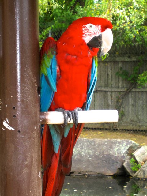 IMG_7838.jpg -                                