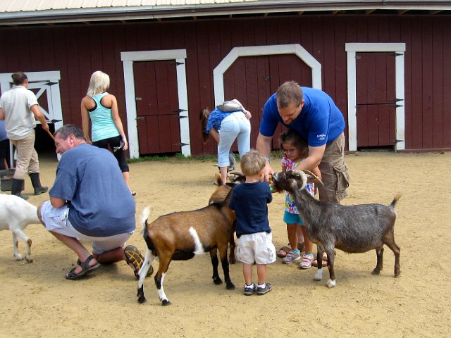 IMG_7852.jpg - Somehow no matter where we are, the kids enjoy feeding the animals the most!