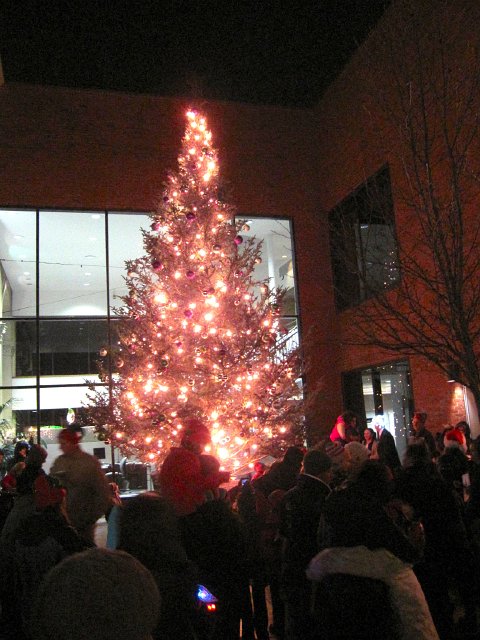 IMG_9037.jpg - The tree lighting!