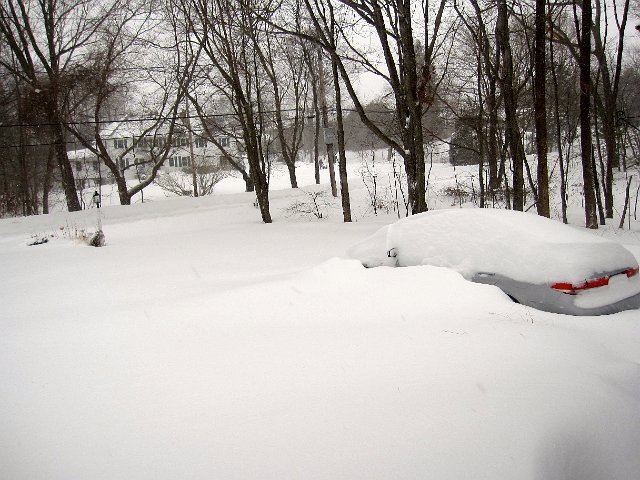 IMG_4156.jpg - The Blizzard of 2013, otherwise known as Nemo, has hit.