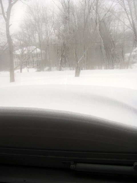 IMG_4158.jpg - This is the view from our family room storm door.