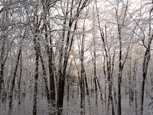 IMG_4338.jpg - One of the best views was actually right in our back yard on the following morning.