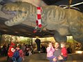 IMG_4080