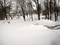 IMG_4156