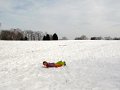 IMG_4303