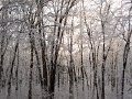 IMG_4338