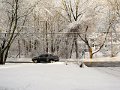 IMG_4349